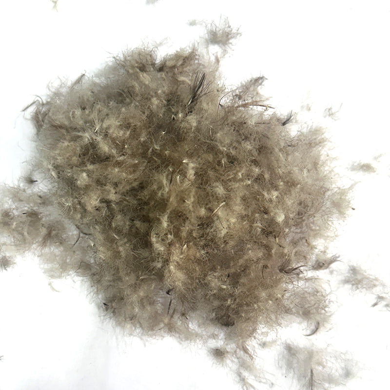 그레이 덕 다운 50% 그레이 덕 다운 50%