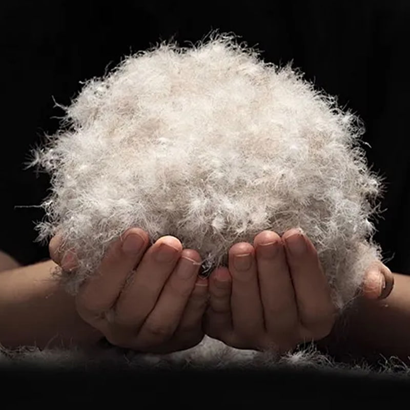 그레이 덕 다운 50% 그레이 덕 다운 50%