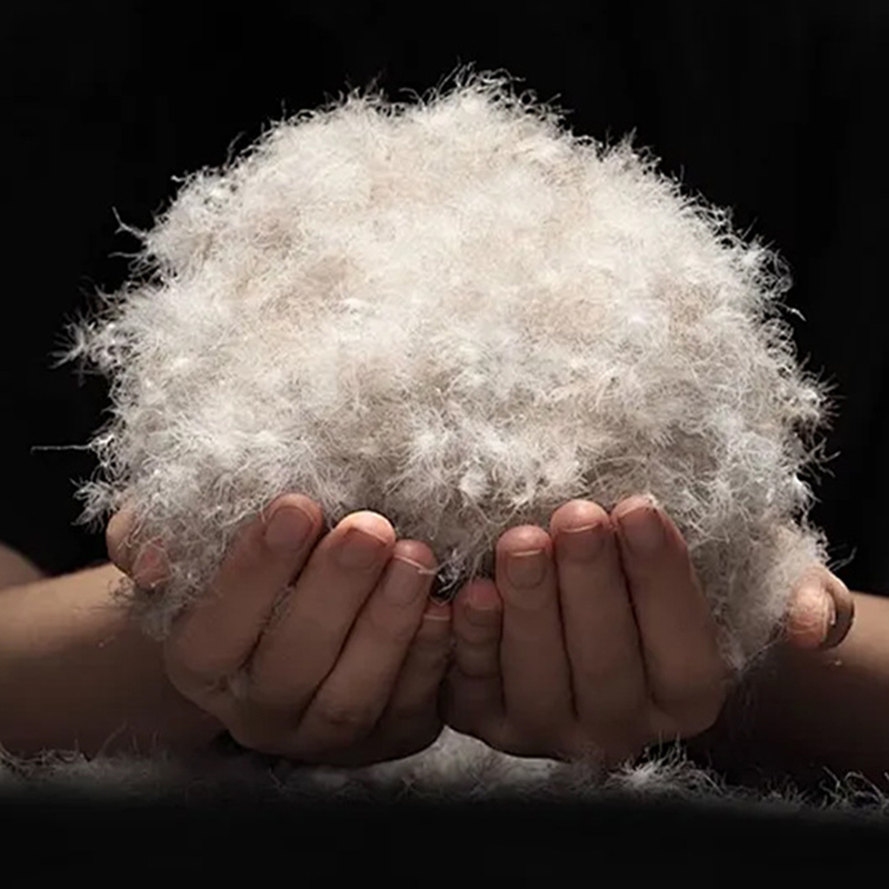 그레이 덕 다운 90%