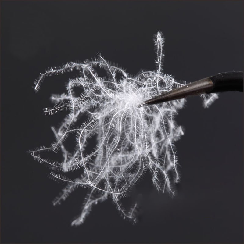 퓨어 화이트 덕다운 80%