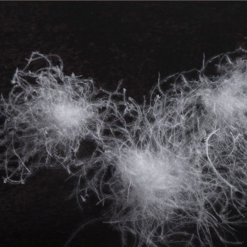 화이트 구스 다운 80% 화이트 구스 다운 80%