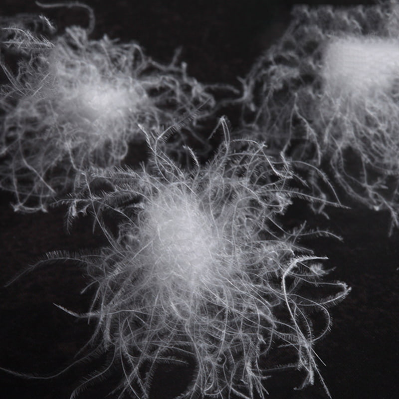 화이트 구스 다운 90% 화이트 구스 다운 90%