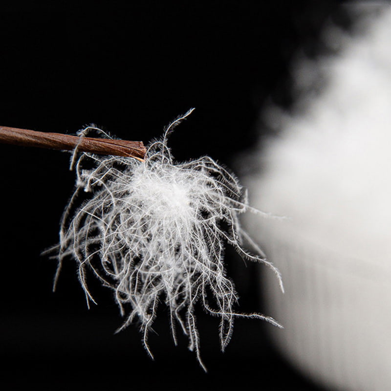 화이트 구스 다운 80% 화이트 구스 다운 80%